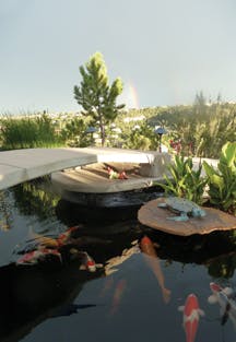 Contractormag Com Sites Contractormag com Files Uploads 2013 07 Koipond2 Contractormag Com Sites Contractormag com Files Uploads 2013 07 Koipond2