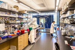 Contractormag Com Sites Contractormag com Files Uploads 2015 11 Labs Contractormag Com Sites Contractormag com Files Uploads 2015 11 Labs