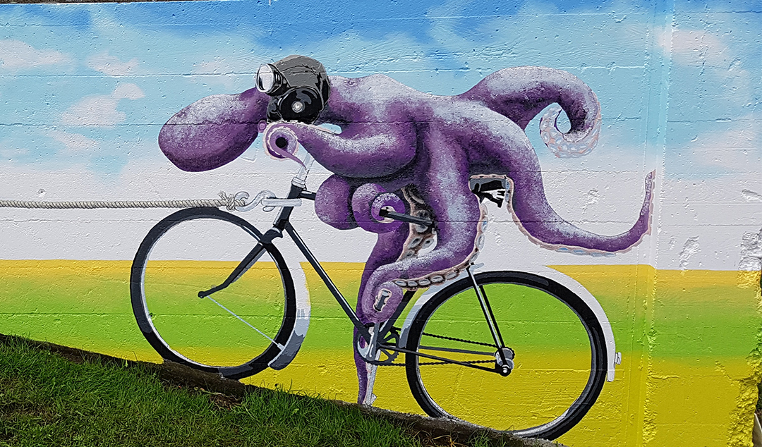 octopusbike2.jpg