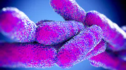 Legionella3dart.jpg