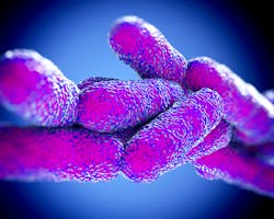 Legionella3dart.jpg Legionella3dart.jpg