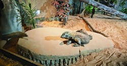 Tulsa Zoo, radiantly-heated exhibits
