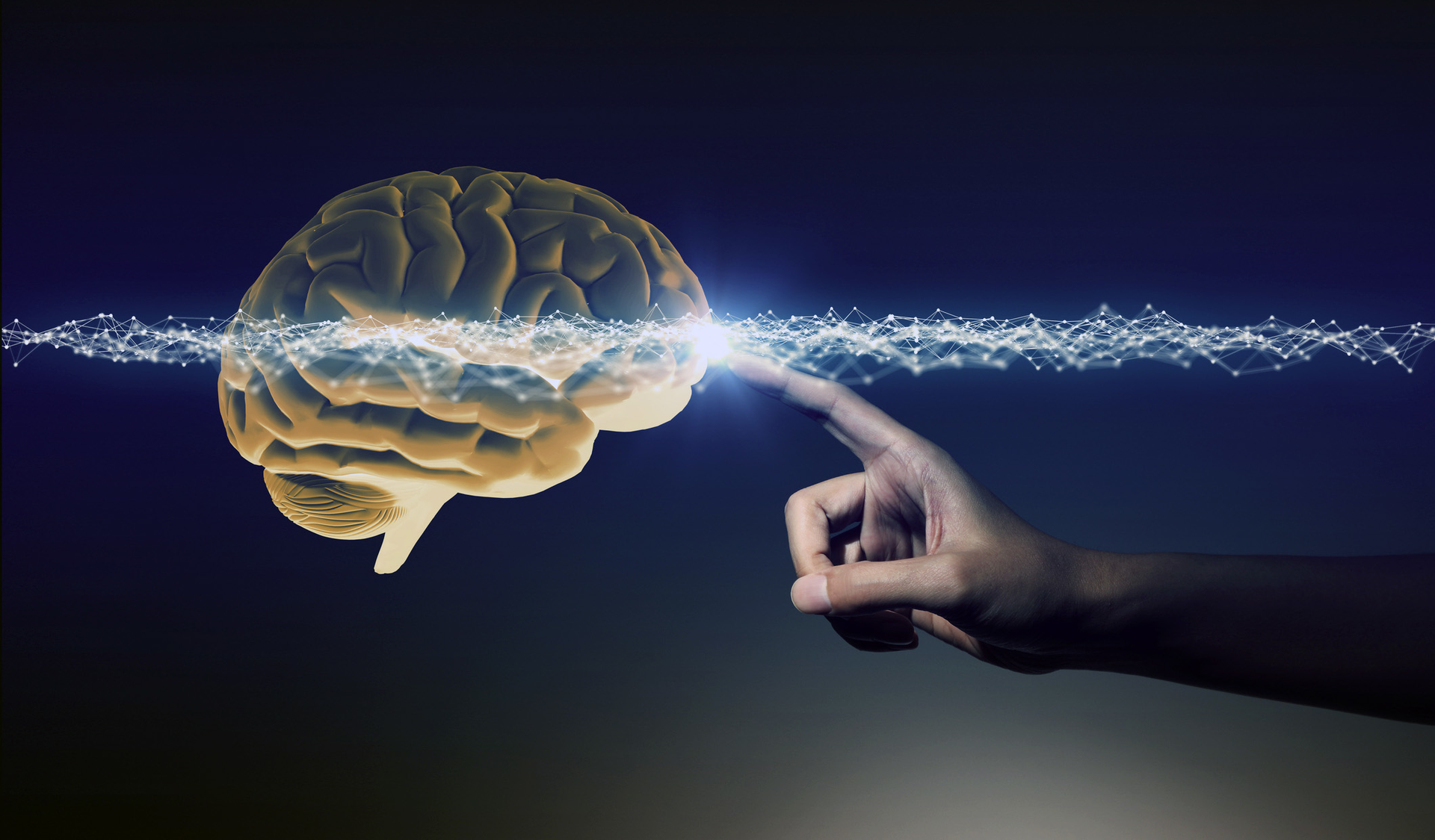 touching human brain