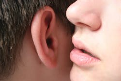 Whispers.jpg Whispers.jpg