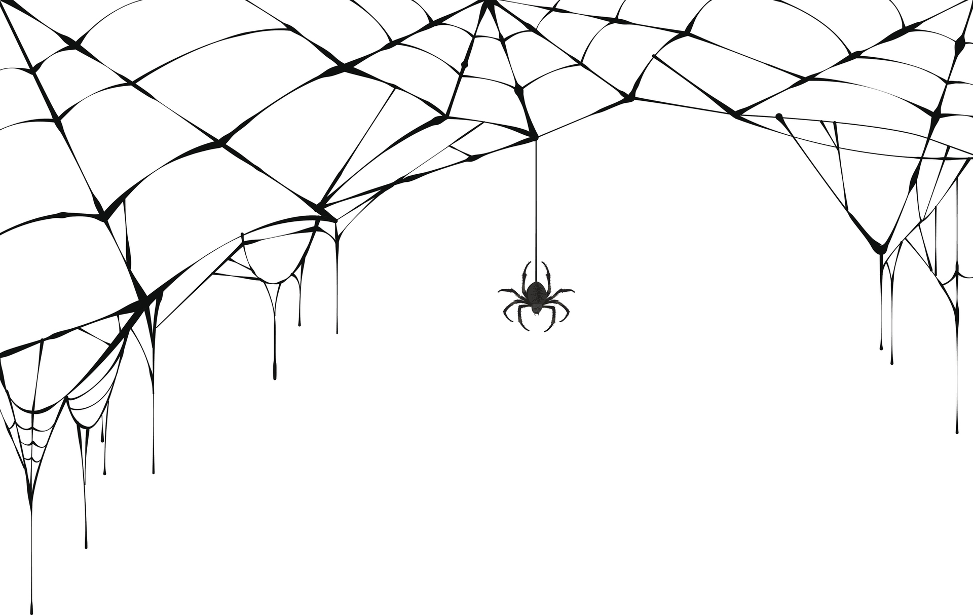 spiderweb.jpg