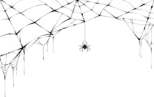 Contractormag 11791 Spiderweb