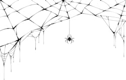 spiderweb.jpg spiderweb.jpg