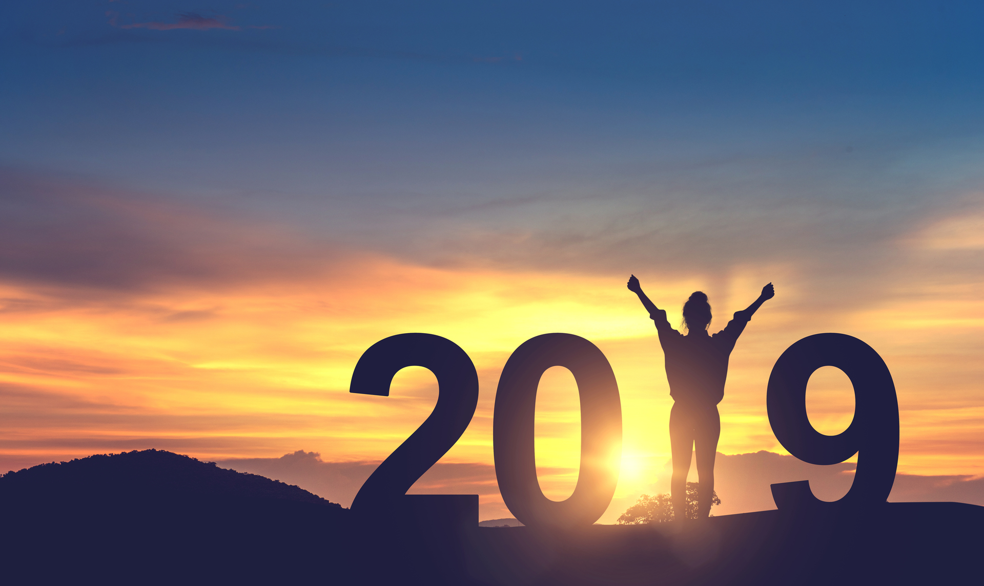 celebrating 2019
