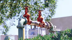 Watts RPZ Backflow Preventer_2-13-19.jpg