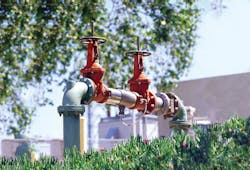 Watts RPZ Backflow Preventer_2-13-19.jpg Watts RPZ Backflow Preventer_2-13-19.jpg