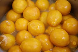 Running a lemon through your garbage disposal will not clean it Running a lemon through your garbage disposal will not clean it