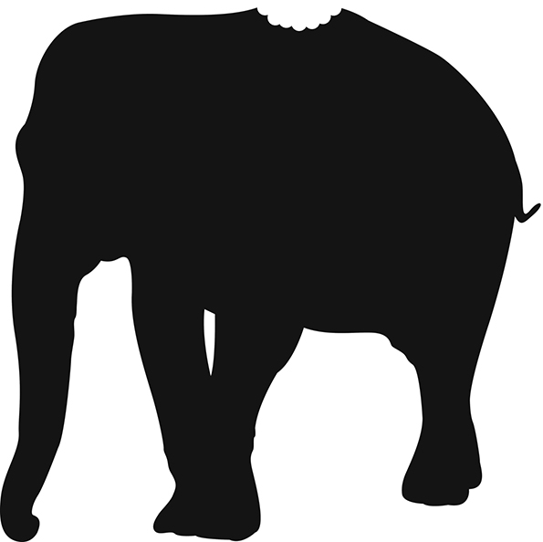 How do you eat an elephant