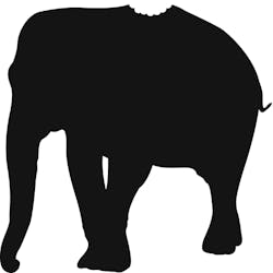 How do you eat an elephant How do you eat an elephant