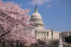 Capitol Hill