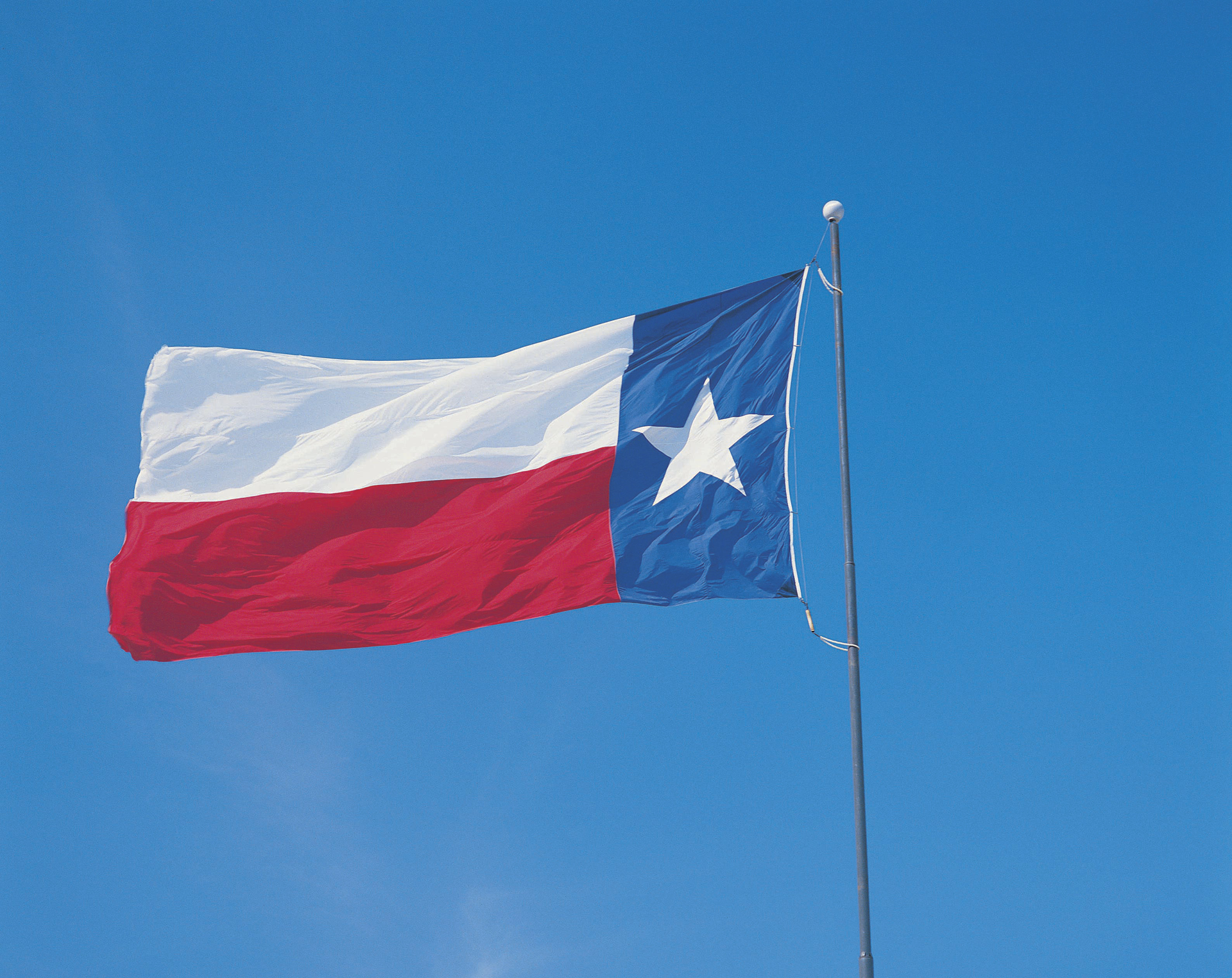 The Texas state flag