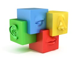 Senses.jpg Senses.jpg