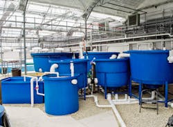 Floating Gardens in Mindoro, Wis., uses aquaponics Floating Gardens in Mindoro, Wis., uses aquaponics