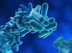 Legionnaires bacterai Legionnaires bacterai