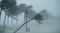 Trees bend in the tropical storm wind along North Fort Lauderdale Beach Boulevard as Hurricane Irma hits the southern part of the state September 10, 2017 in Fort Lauderdale, Florida. The powerful hurricane made landfall in the United States in the Florida Keys at 9:10 a.m. after raking across the north coast of Cuba.
