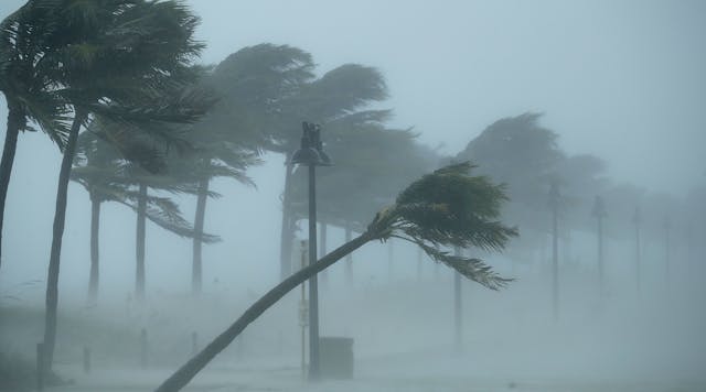 Trees bend in the tropical storm wind along North Fort Lauderdale Beach Boulevard as Hurricane Irma hits the southern part of the state September 10, 2017 in Fort Lauderdale, Florida. The powerful hurricane made landfall in the United States in the Florida Keys at 9:10 a.m. after raking across the north coast of Cuba.