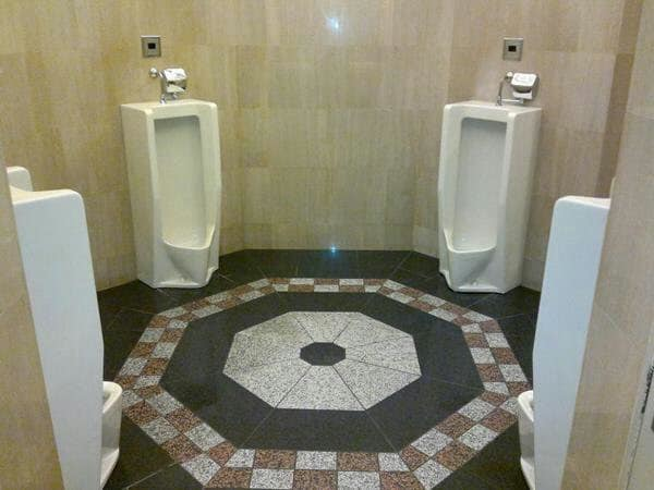 Worst Toilets Ever Contractor
