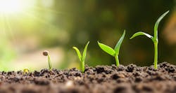 Growth.jpg Growth.jpg