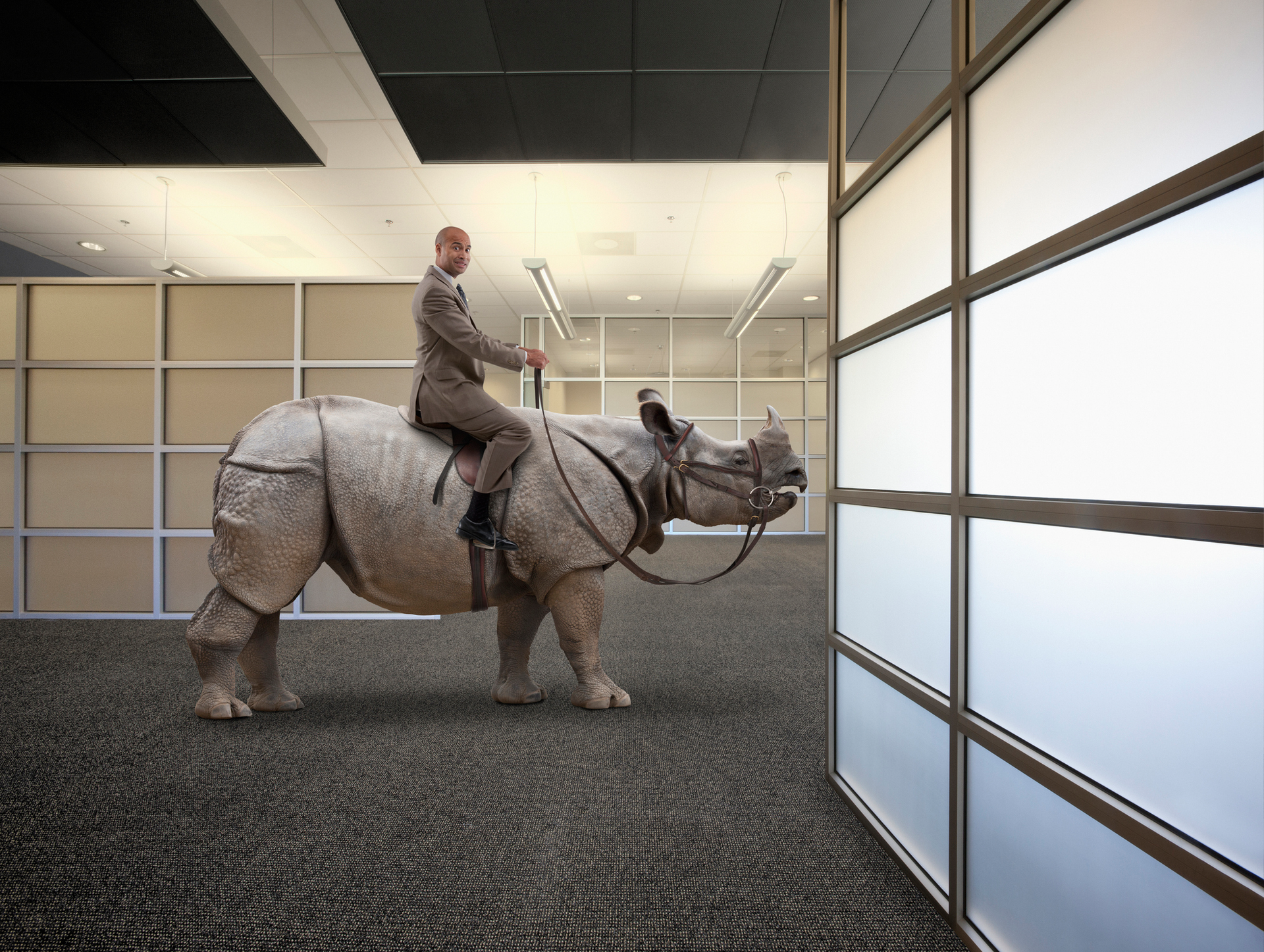 Man Riding Rhino 5e584160b4882