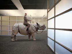 Man Riding Rhino 5e584160b4882 Man Riding Rhino 5e584160b4882