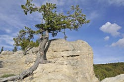 Dreamstime M 11402202 5e8f54224c478 Dreamstime M 11402202 5e8f54224c478