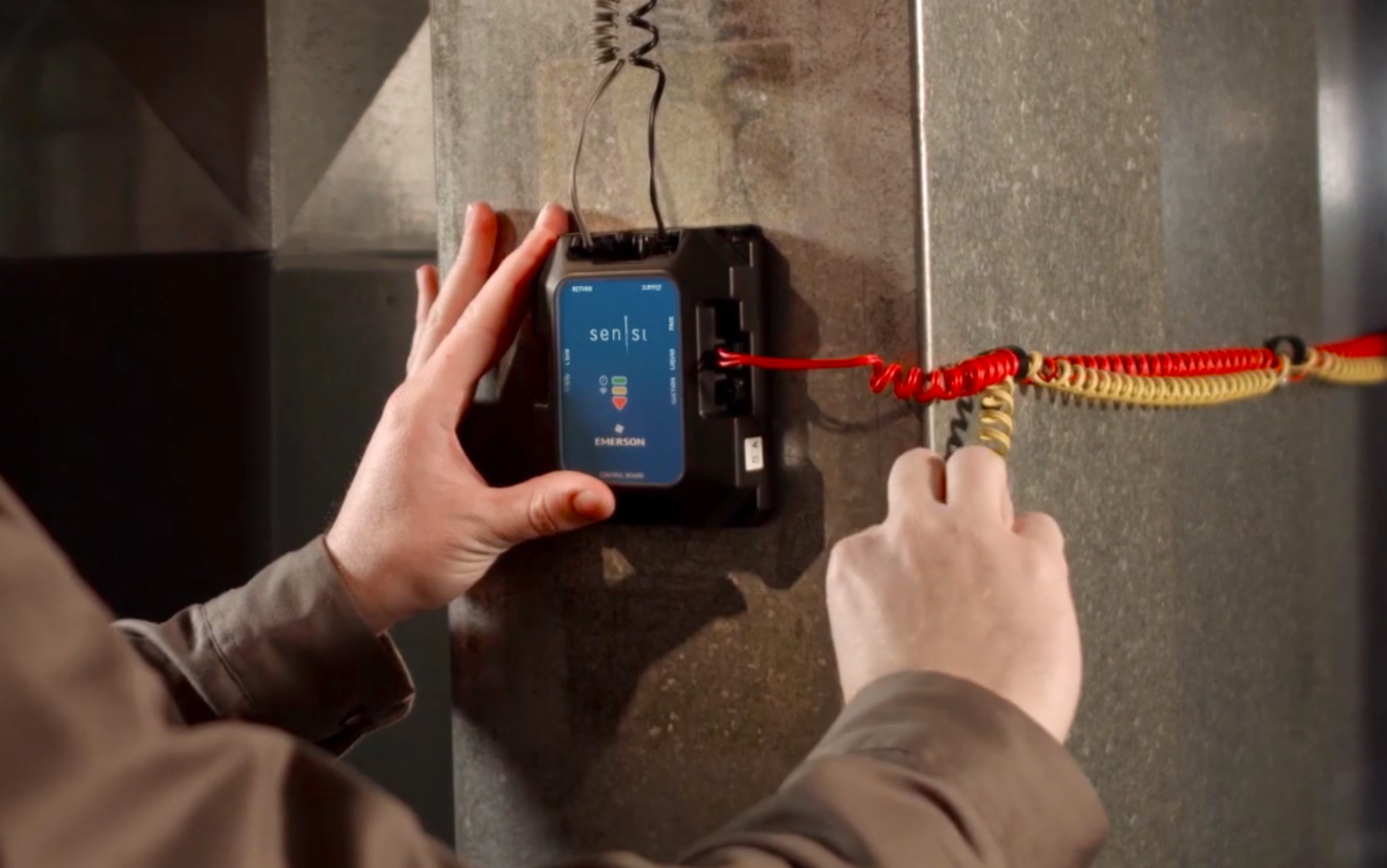 Feldman Sensipredict 5ee10c66e02ac