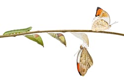 Dreamstime M 103648937 5f6282c1438e4 Dreamstime M 103648937 5f6282c1438e4