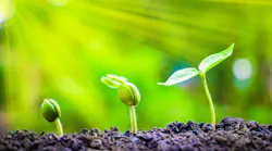Dreamstime M 116623301