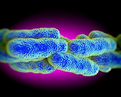 Dreamstime M 42123648 5fd78ccf4da18 Dreamstime M 42123648 5fd78ccf4da18