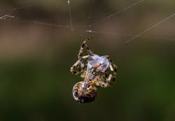 Dreamstime M 77487341 5feb92b784b27 Dreamstime M 77487341 5feb92b784b27