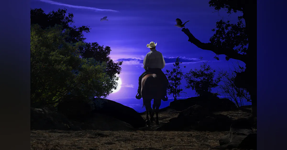 Midnight Rider | Contractor