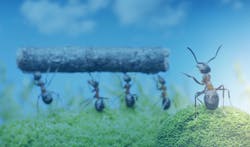 Ants At Work Contractor Mag Image Trimble Mep 2 3 21 6024041d92b26 Ants At Work Contractor Mag Image Trimble Mep 2 3 21 6024041d92b26