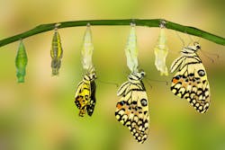 Dreamstime M 67660164 60256556f1c81 Dreamstime M 67660164 60256556f1c81