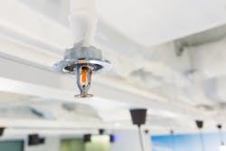 Dreamstime M 111798139 60525aaf1a8c1 Dreamstime M 111798139 60525aaf1a8c1