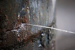 Dreamstime S 94500011 605e0af58f61e Dreamstime S 94500011 605e0af58f61e