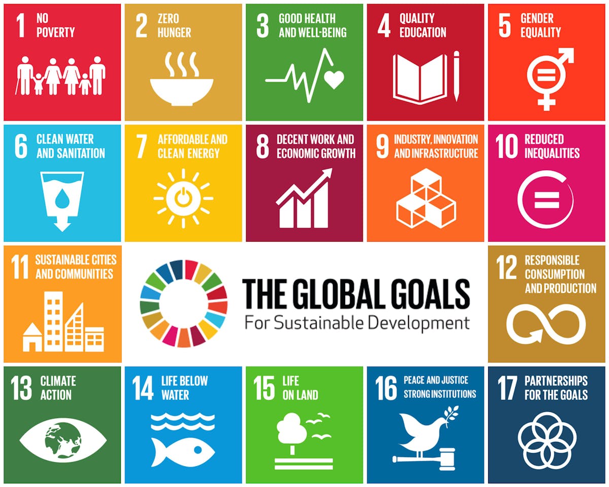 These sustainable development goals were established in 2015 by the United Nations.