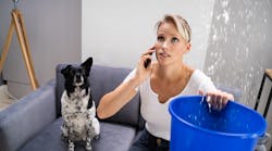 Dreamstime S 212479186 Dreamstime S 212479186