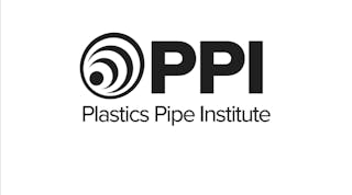 Ppi Logo
