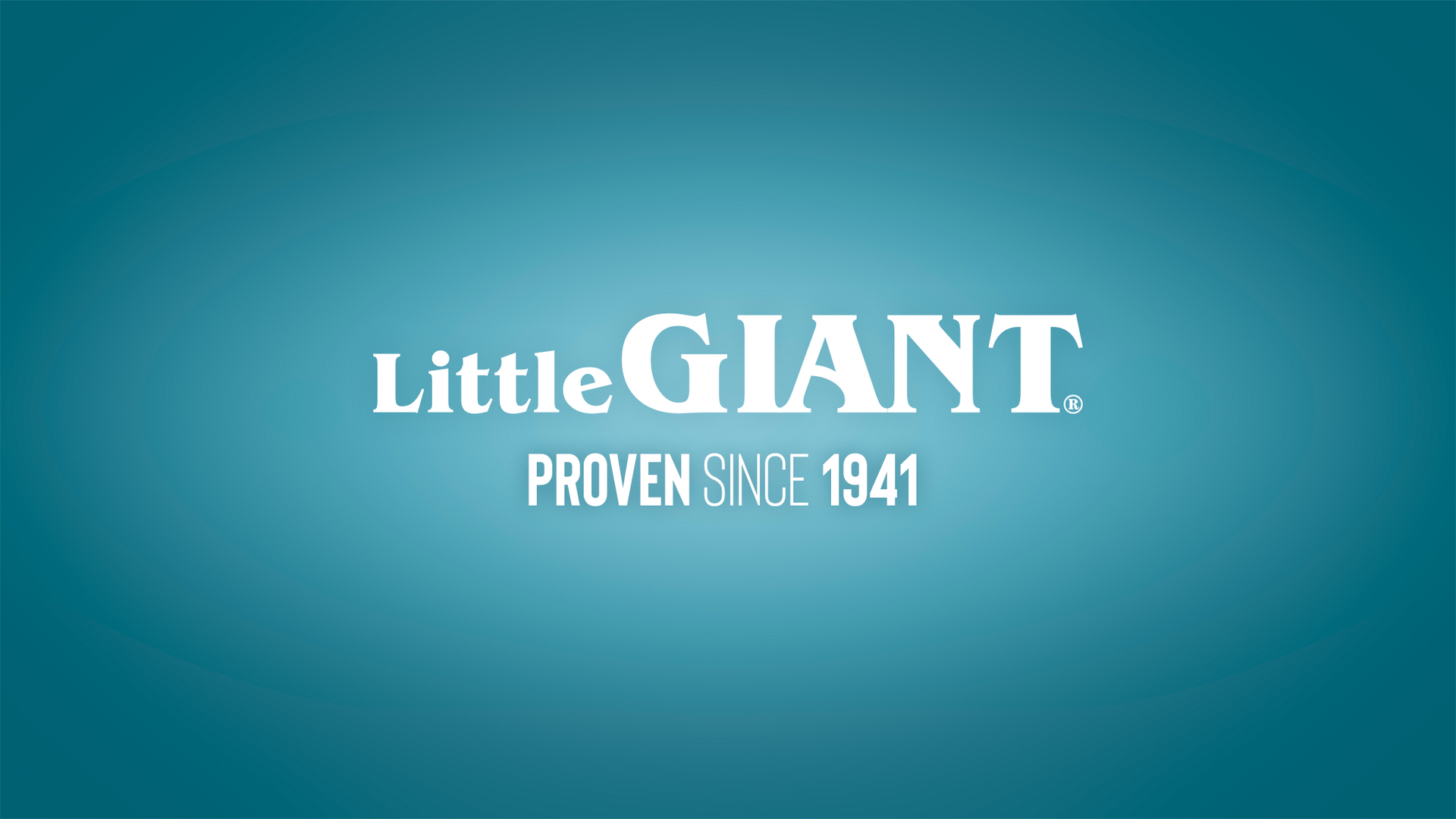 Little Giant Banner 610af5c35982d