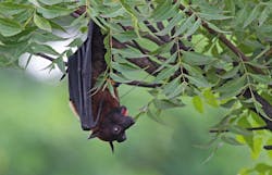 Dreamstime S 77228635 61265b79b985c Dreamstime S 77228635 61265b79b985c