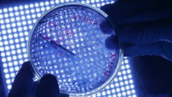 Dreamstime S 144619613 62d5b360dd1ec Dreamstime S 144619613 62d5b360dd1ec