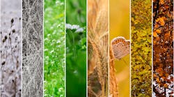 Dreamstime M 37266430 Dreamstime M 37266430