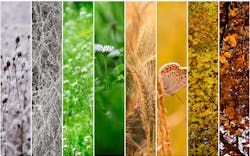 Dreamstime M 37266430 63a0a0a5763dd Dreamstime M 37266430 63a0a0a5763dd