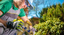 Image For News Release Posting On Watts com Irrigation E Learning Promotion Image For News Release Posting On Watts com Irrigation E Learning Promotion