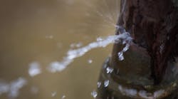 Dreamstime M 123696897 Dreamstime M 123696897