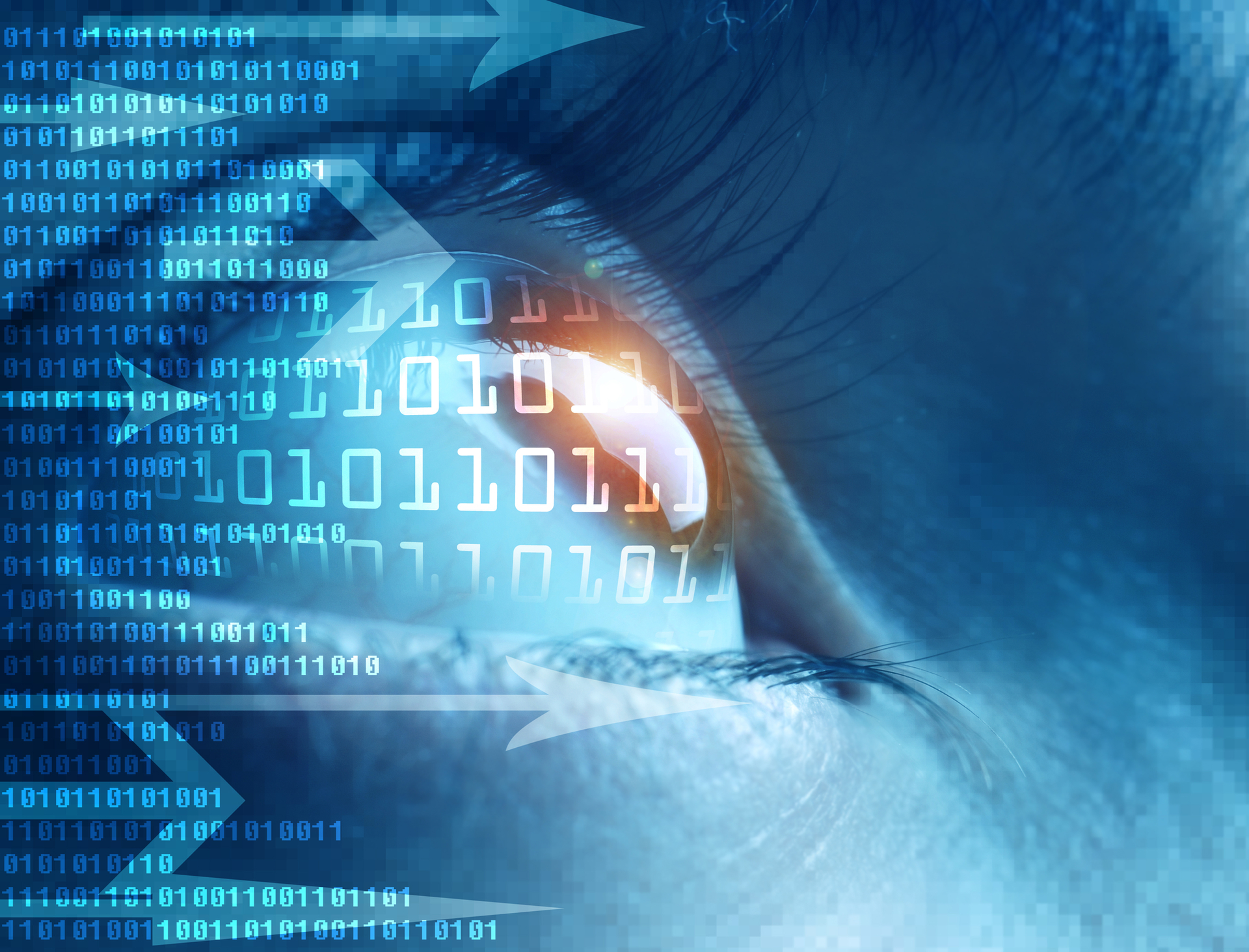 Dreamstime M 8247407 63e07804aec7b